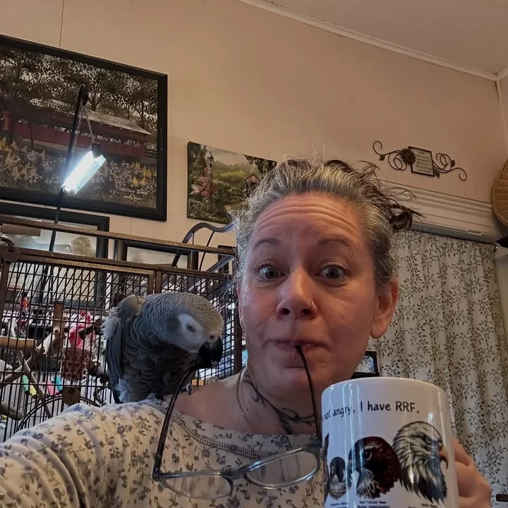 African Grey breeders in Nebraska