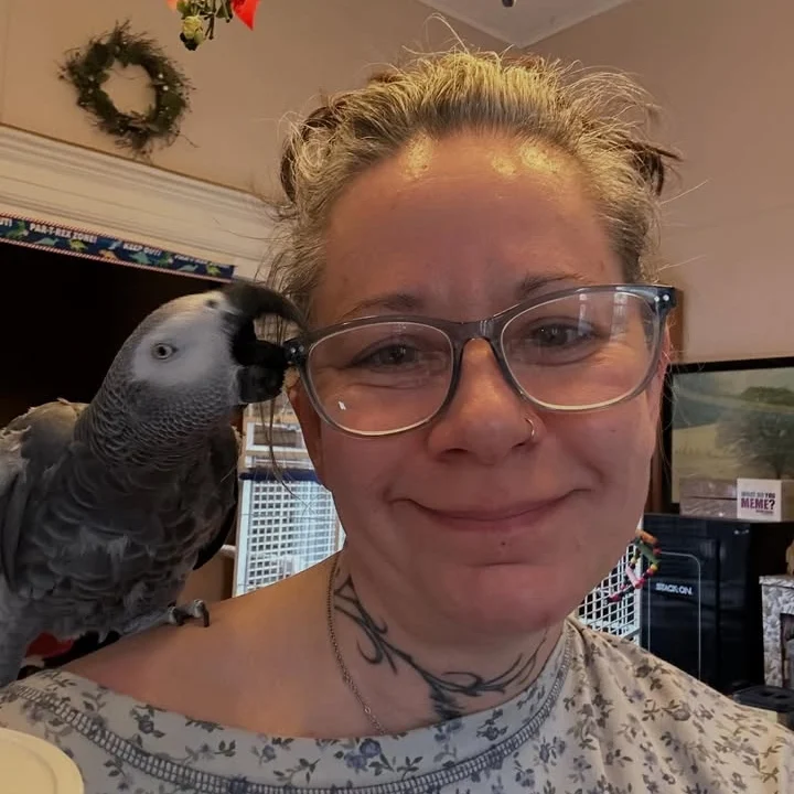 African Grey breeders in Nevada